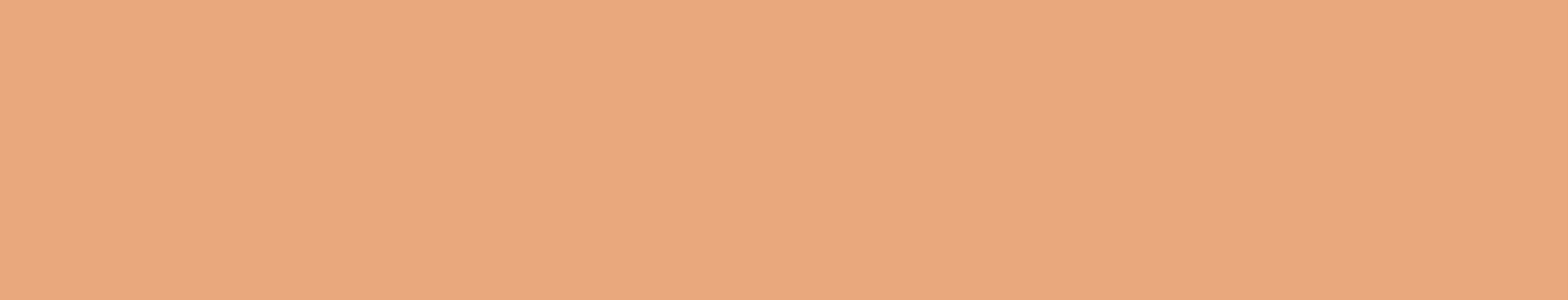 Banner Hintergrund Wert 2